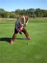 Badger Golfer