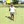 Hilario B